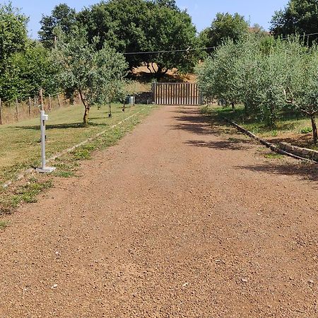 Il Melarancio B&B Monterosi 外观 照片