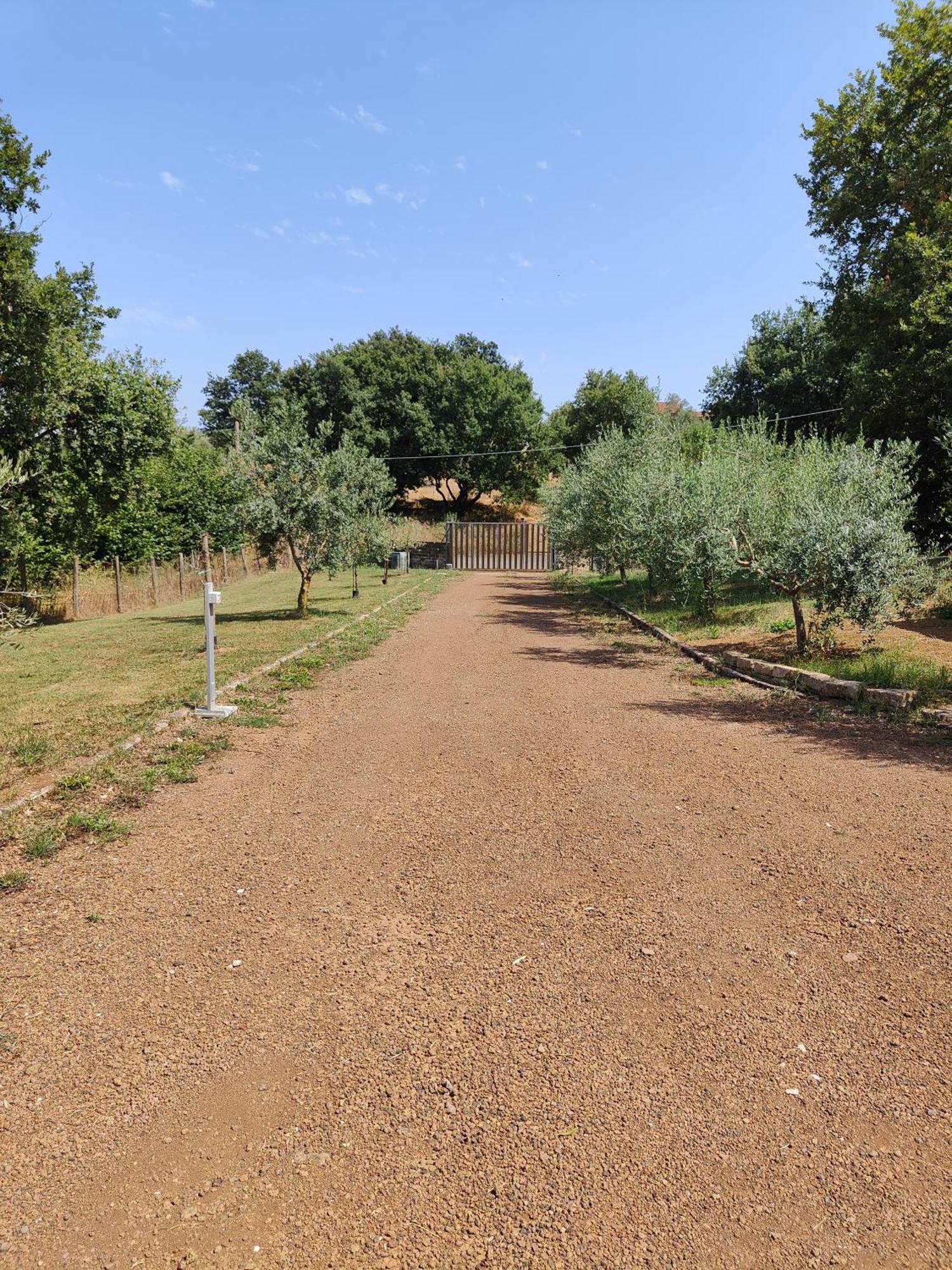 Il Melarancio B&B Monterosi 外观 照片
